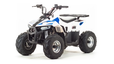 Квадроцикл ATV EAGLE 110