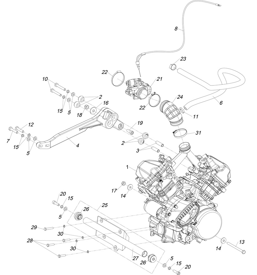 Схема Двигатель 800сс